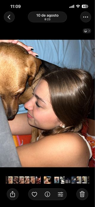 Paseo/cuidados caninos