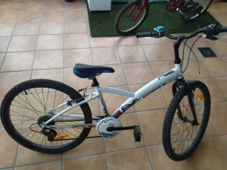 Bicicleta Unisex 24