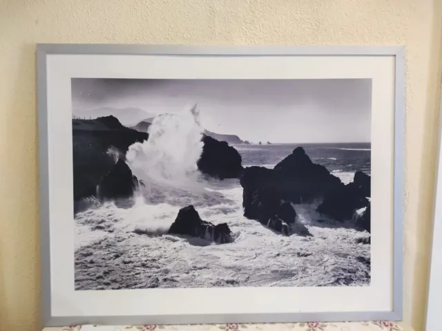 Cuadro grande IKEA  120 X 90 cm.