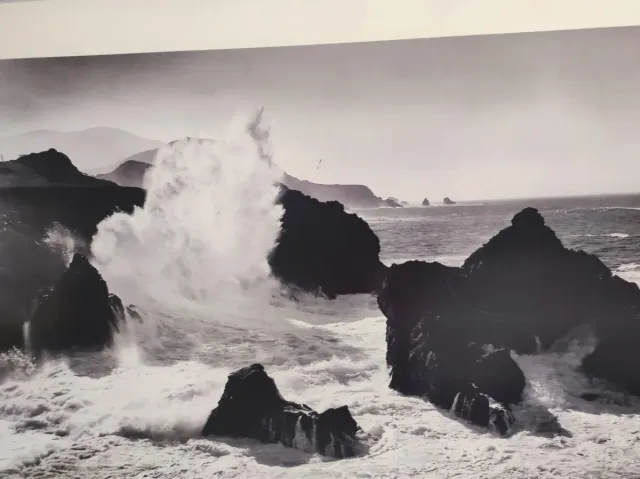 Cuadro grande IKEA  120 X 90 cm.