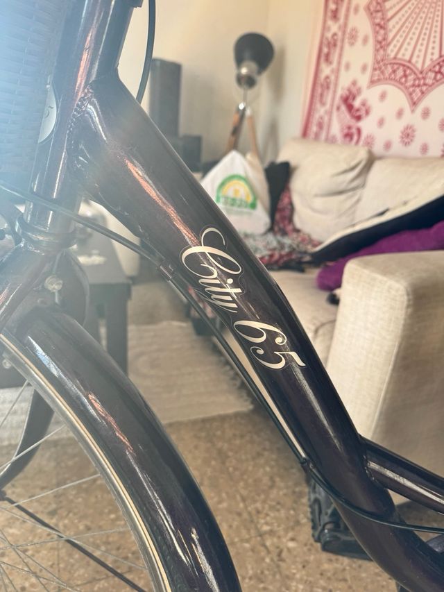 Bicicleta Urbana City 45