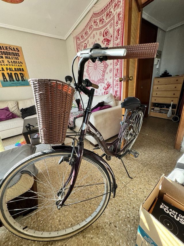 Bicicleta Urbana City 45