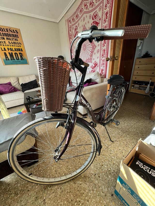 Bicicleta Urbana City 45