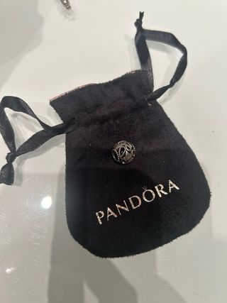 Charm Pandora Plata