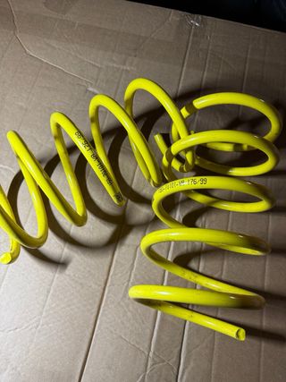 Muelles Apex Renault Megane