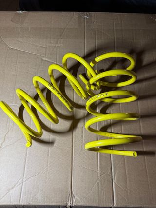 Muelles Apex Renault Megane