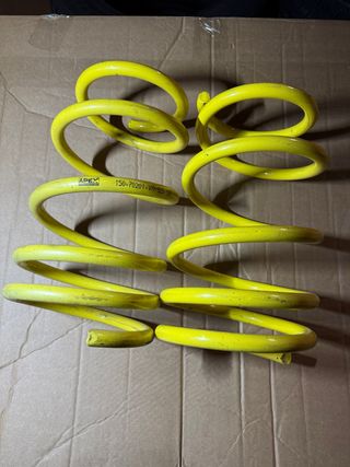 Muelles Deportivos APEX Megane