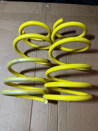 Muelles Deportivos APEX Megane