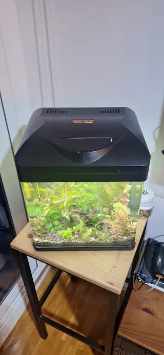Acuario 18L con accesorios