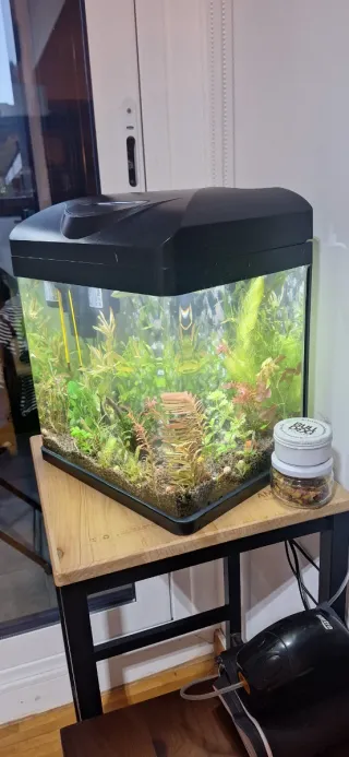 Acuario 18L con accesorios