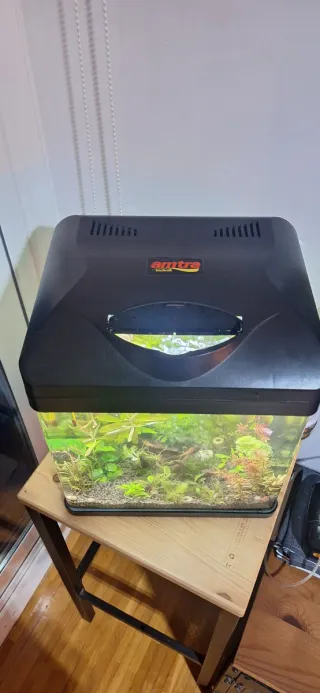 Acuario 18L con accesorios