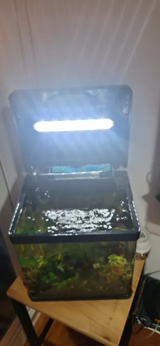 Acuario 18L con accesorios