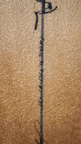 Tabla Longboard Pintail 37" Original