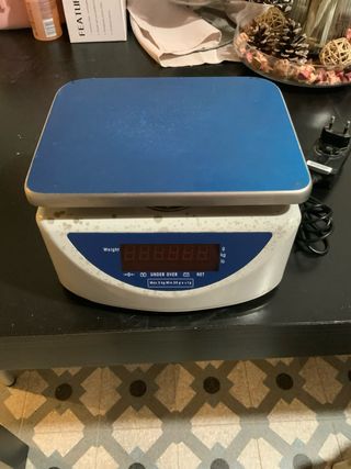 Bilancia professionale digitale