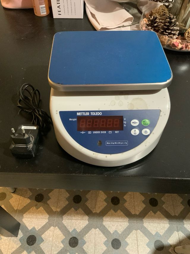 Bilancia professionale digitale