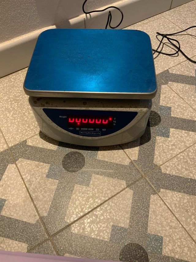 Bilancia professionale digitale