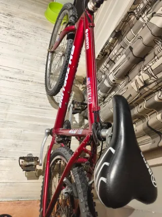 Bicicleta BH Top Line Aluminio 120 Shimano