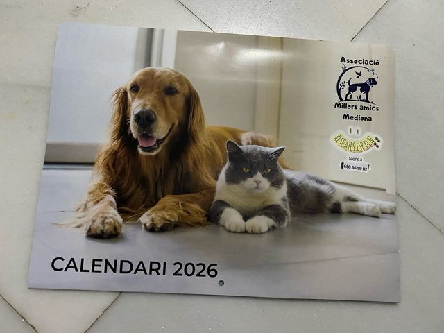 Calendario 2026