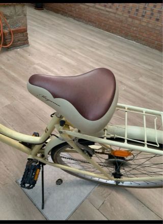 Bicicleta Vintage con cesto