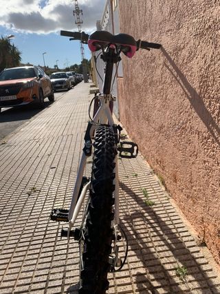 Bicicleta Montaña Básica