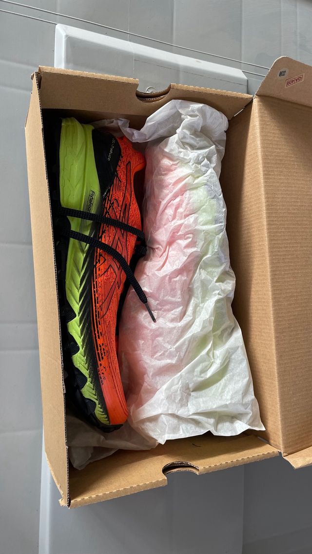 Asics Gel Trabuco 10 Trail Talla 46