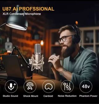 Micrófono Condensador Cardioid Pickup