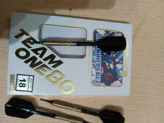 Dardos Profesionales Ricardo Perez