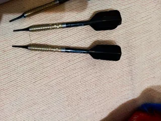 Dardos Profesionales Ricardo Perez