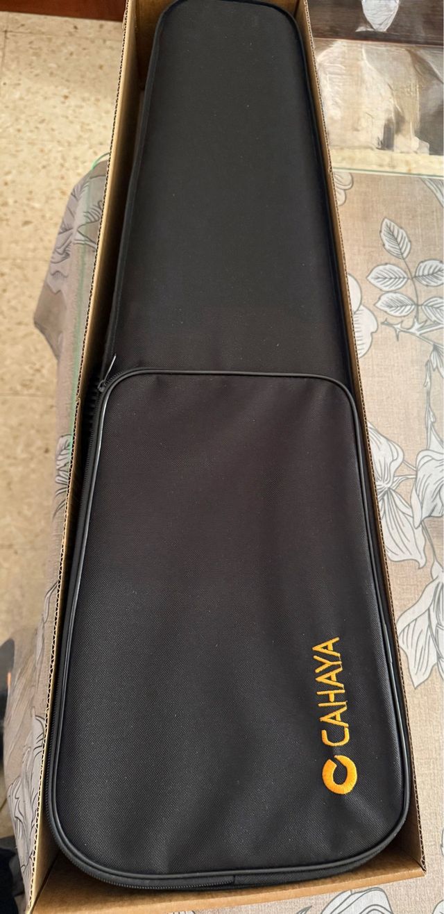 Violín con estuche y accesorios