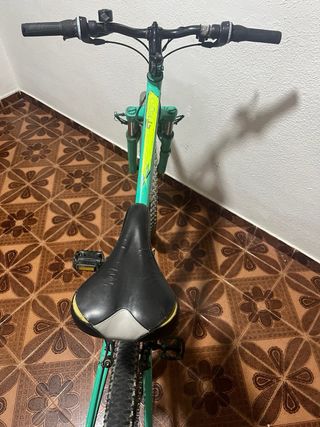 Bicicleta Montaña Verde