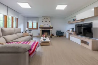 Servicios de pintura profesional