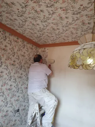 Servicios de pintura profesional