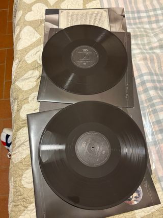 Taylor Swift TTPD - the black dog