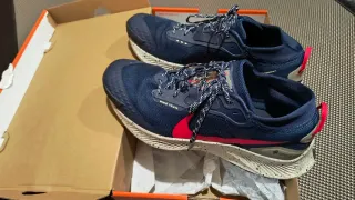 Zapatillas Nike Pegasus Trail Gore-Tex Azul.