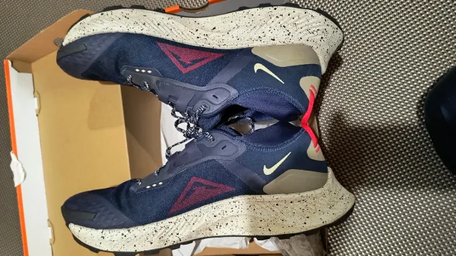 Zapatillas Nike Pegasus Trail Gore-Tex Azul.