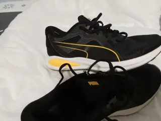 Dos  Zapatillas deportivas