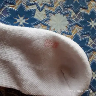 Calzini cotone donna misura 37/38