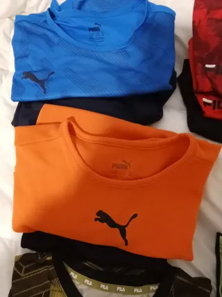 Conjuntos camisetas manga corta y pantalón corto