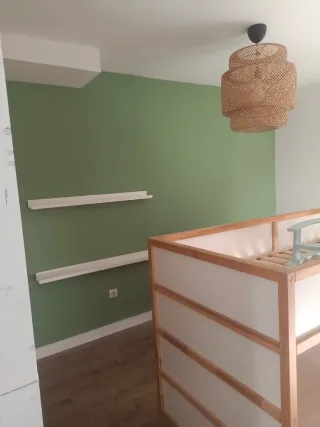 PINTOR PROFESIONAL ECONOMICO