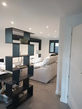 PINTOR PROFESIONAL ECONOMICO