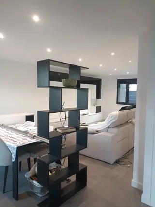 PINTOR PROFESIONAL ECONOMICO