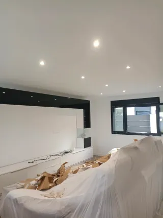 PINTOR PROFESIONAL ECONOMICO