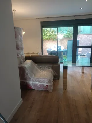 PINTOR PROFESIONAL ECONOMICO