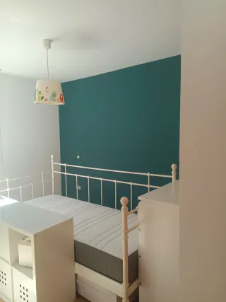 PINTOR PROFESIONAL ECONOMICO