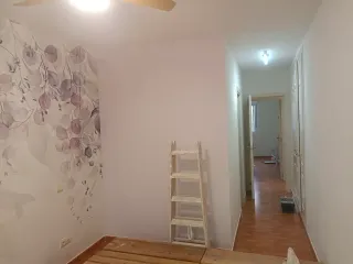 PINTOR PROFESIONAL ECONOMICO