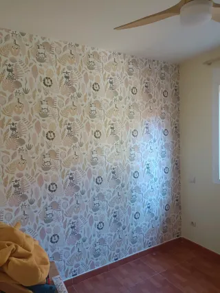 PINTOR PROFESIONAL ECONOMICO