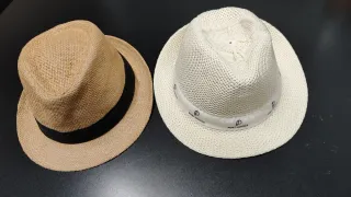 Due cappelli di paglia per adulti