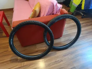 2 Coperture MTB 29 x 2.60 WTB Trail Boss