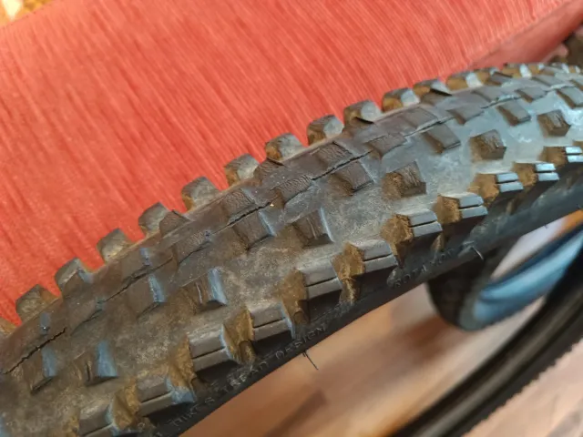 2 Coperture MTB 29 x 2.60 WTB Trail Boss
