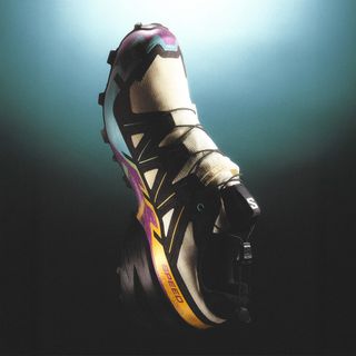 Zapatilla Salomon Speedcross 6 GTX Beige/Morado